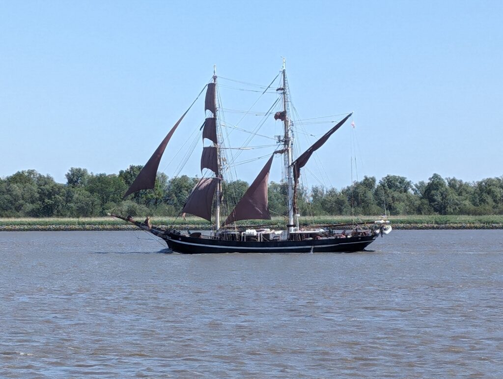 PXL_20240514_102243894
